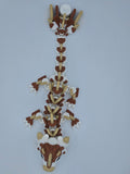S'mores Dragon