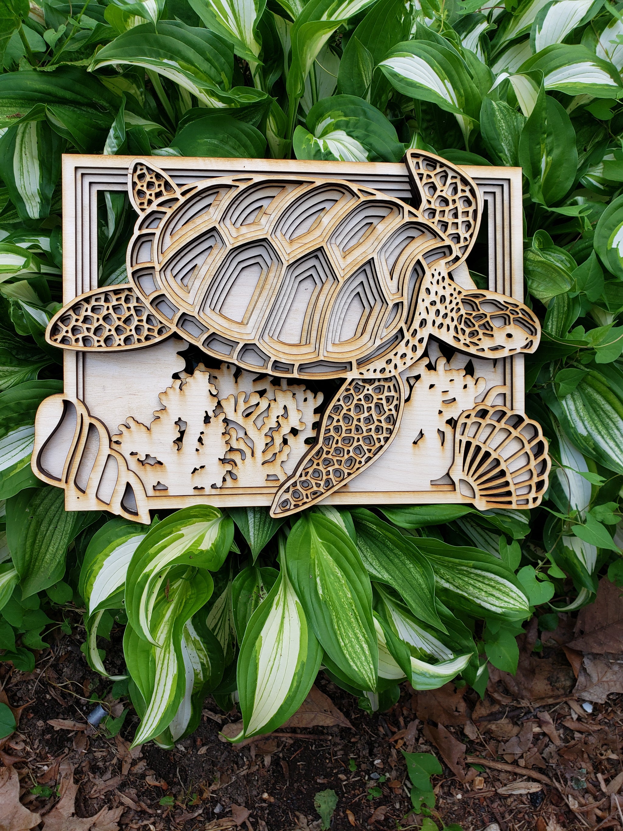 OMMO 新品　SHEER LAYERED TURTLE KT m95439334222_1.jpg