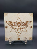 Death moth phases of the moon