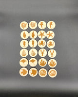 Sea life themed memory game