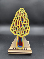 Mulitlayer Mushrooms