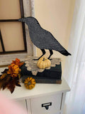 Poe Raven
